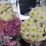 Fresh Flowers